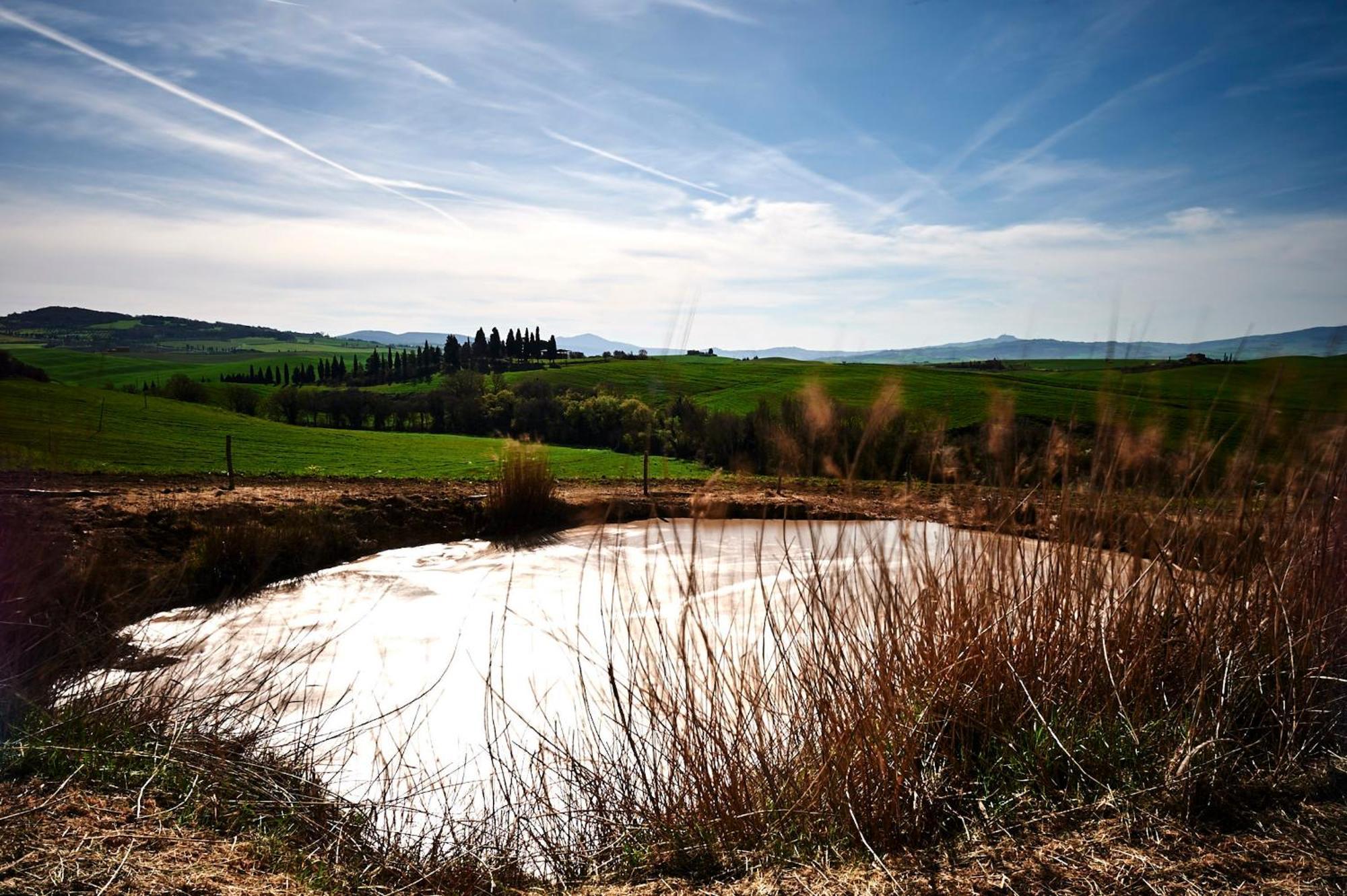Agriturismo Il Casalino Pienza Exterior photo