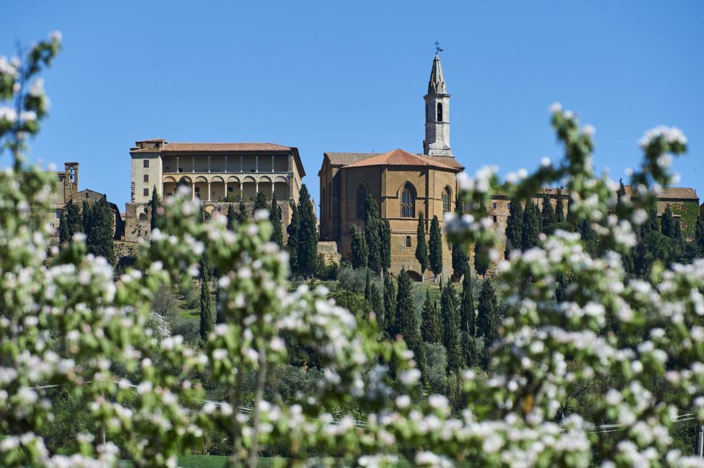 Agriturismo Il Casalino Pienza Exterior photo